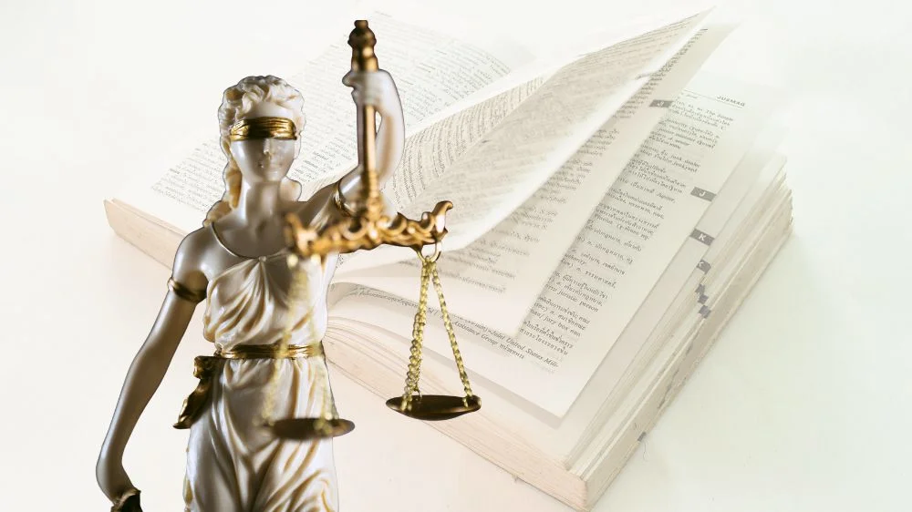 الترجمة القانونية الترجمة القانونية